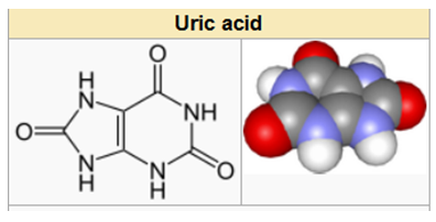 Axit uric là gì. Xét nghiệm axit uric máu để biết chính xác chỉ số này trong cơ thể