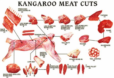 phân loại thịt kagaroo