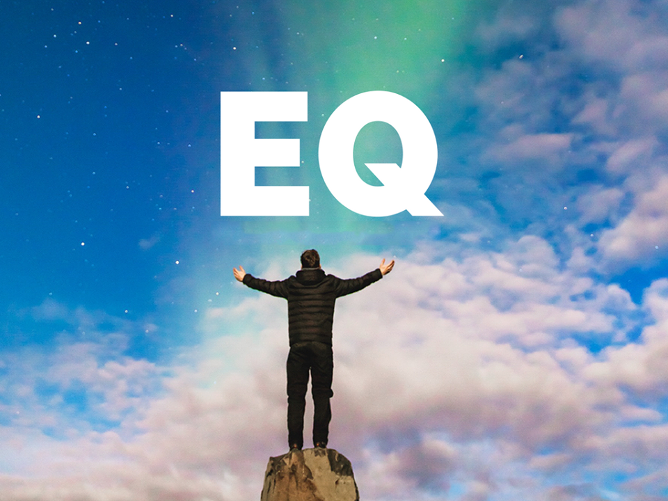 chỉ số EQ phản ánh được những kĩ năng giao tiếp và năng khiếu ở một người, góp phần quan trọng trong sự thành công về học tập và công việc của người đó