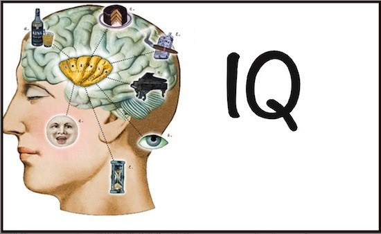 chỉ số IQ là chỉ số dùng để xác định giá trị thông minh của một người, giá trị IQ cao chứng tỏ người đó có khả năng tư duy, phân tích và xử lý thông tin nhanh hơn bình thường nhiều lần