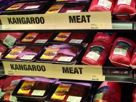 Thịt kagaroo trong siêu thị