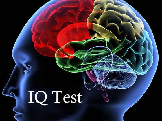 chỉ số IQ của một người có thể bị thay đổi do các tác động như độ tuổi, bệnh lý, chấn thương liên quan não bộ, chế độ dinh dưỡng hàng ngày